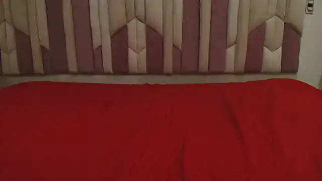 fer_dz